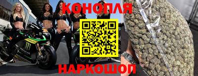 каннабис Кингисепп