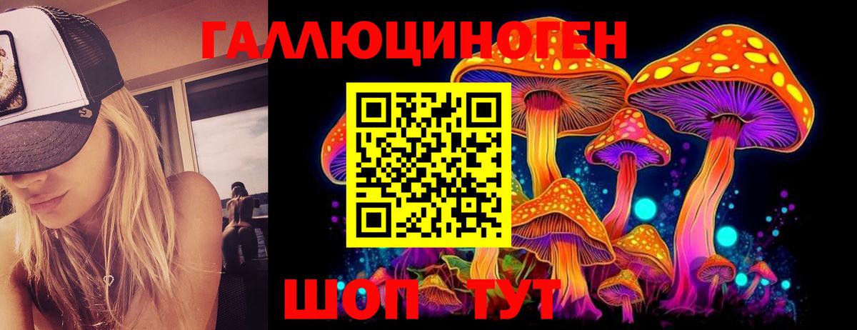 Галлюциногенные грибы Cubensis  Вход с VPN  Благовещенск  Псилоцибиновые грибы Cubensis 