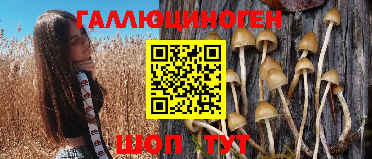 Псилоцибиновые грибы прущие грибы Благовещенск