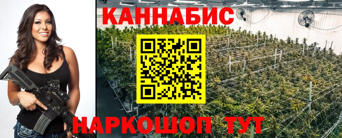 Шишки марихуана конопля  Вход с VPN  МАРИХУАНА ГИДРОПОН  Благовещенск 
